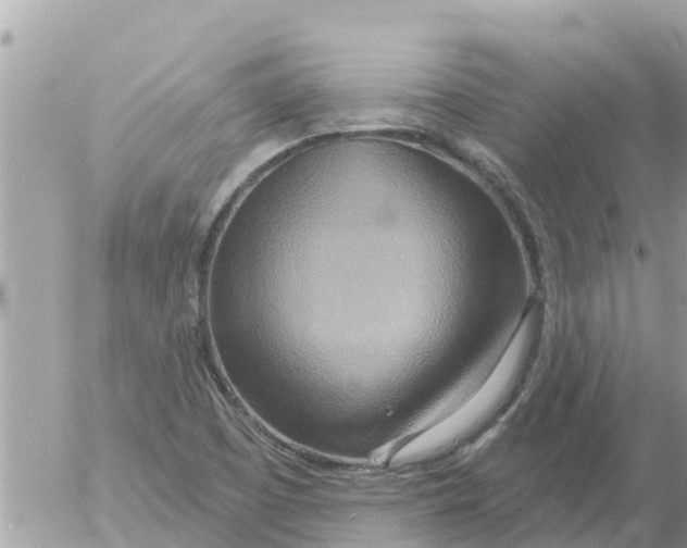 X0000054441457200508270000