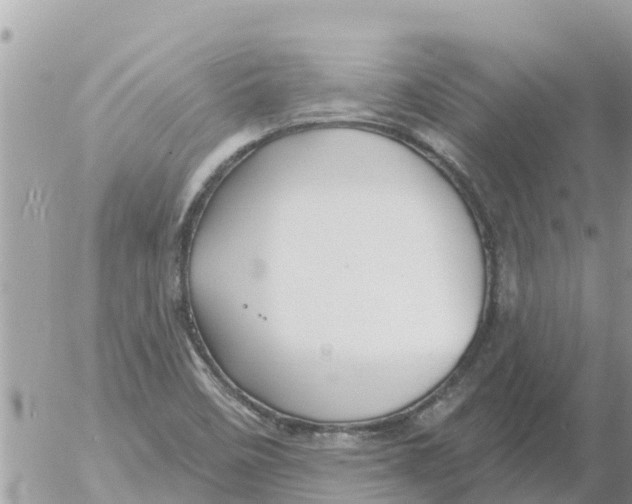 X0000054441458200508270000