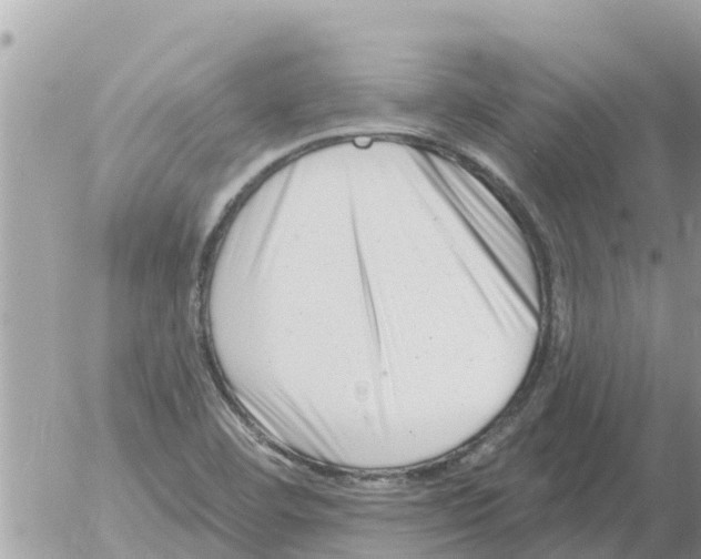 X0000054441460200508270000