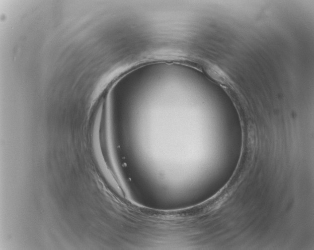 X0000054441461200508270000