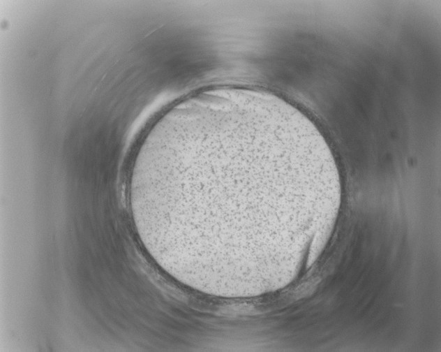 X0000054441462200508270000