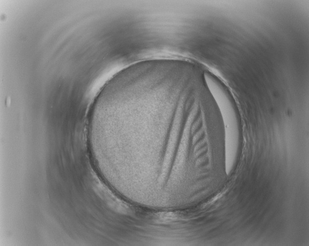 X0000054441463200508270000