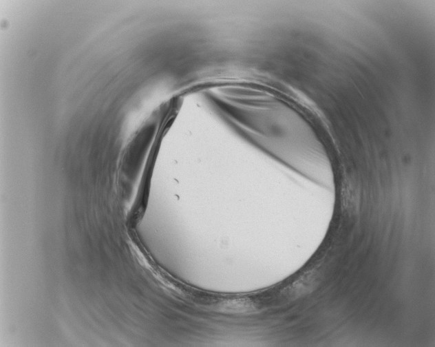 X0000054441464200508270000