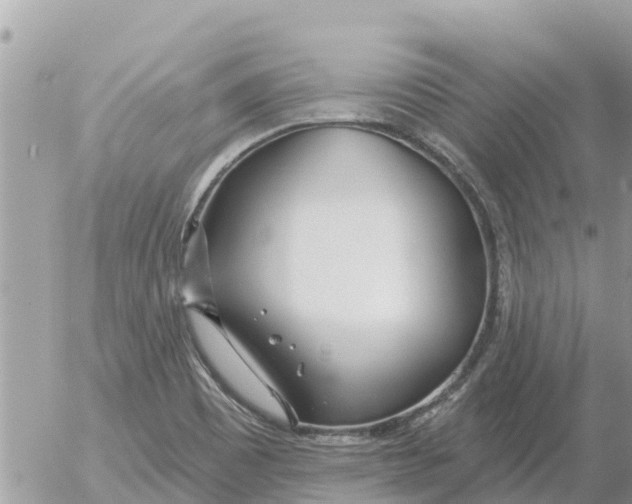 X0000054441465200508270000