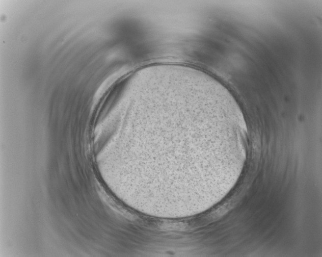 X0000054441466200508270000