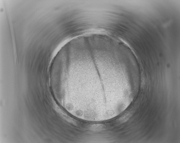 X0000054441467200508270000