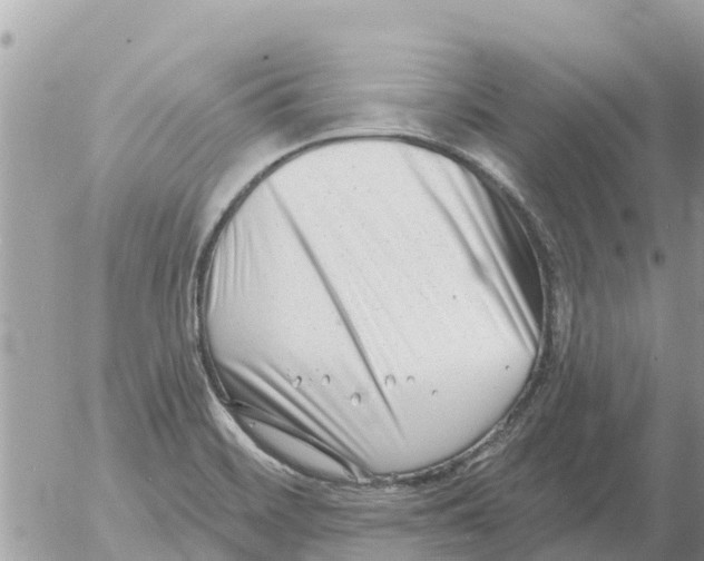 X0000054441468200508270000