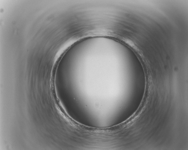 X0000054441469200508270000