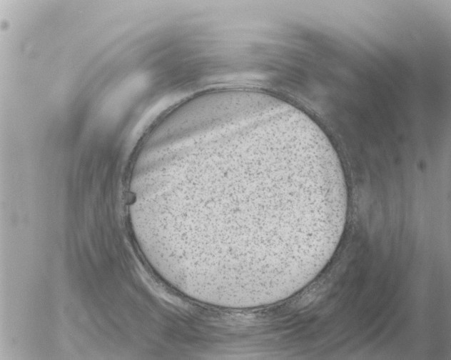 X0000054441470200508270000