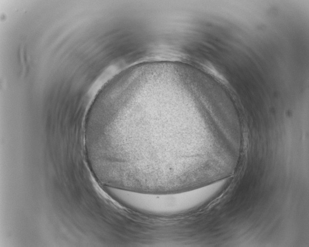 X0000054441471200508270000