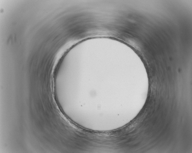 X0000054441472200508270000