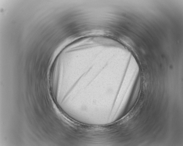 X0000054441475200508270000