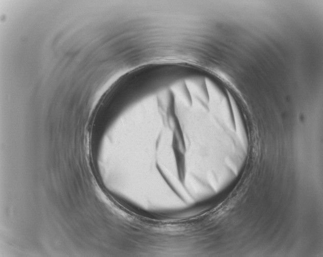 X0000054441476200508270000