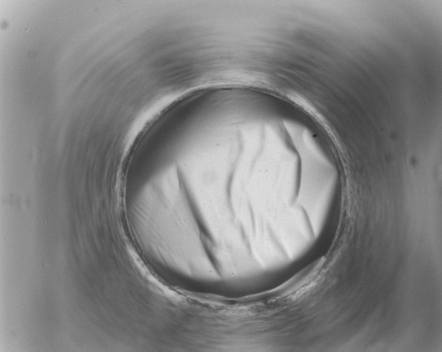 X0000054441477200508270000