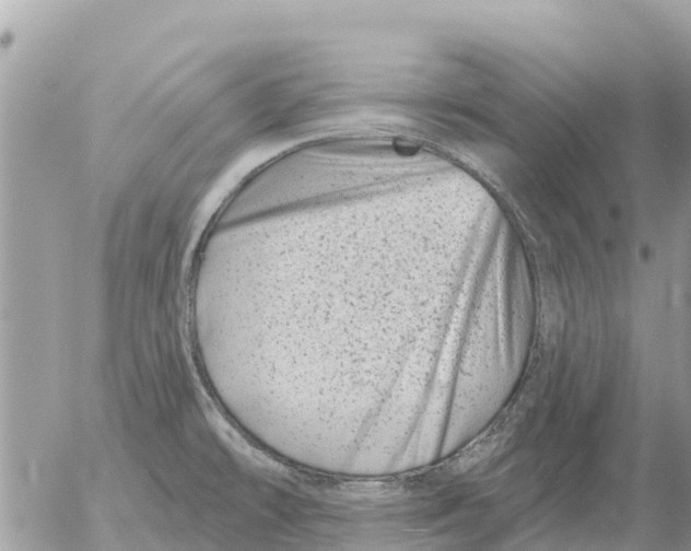 X0000054441478200508270000