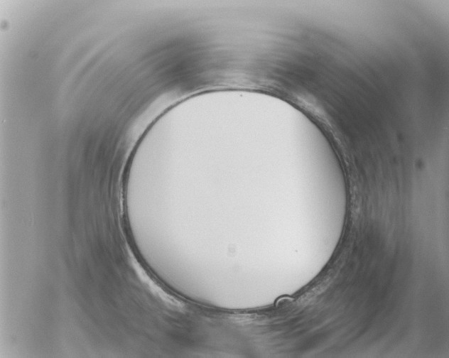 X0000054441479200508270000