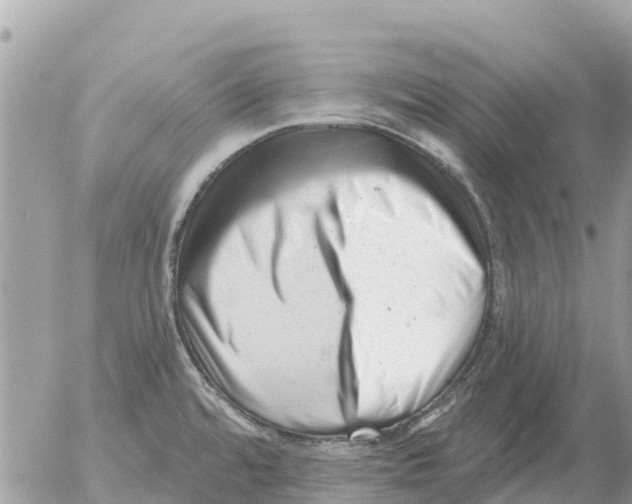 X0000054441480200508270000