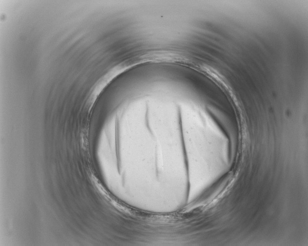 X0000054441481200508270000