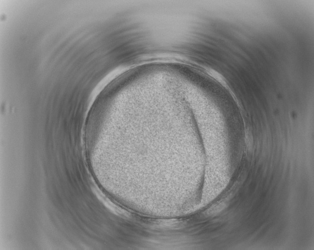 X0000054441482200508270000