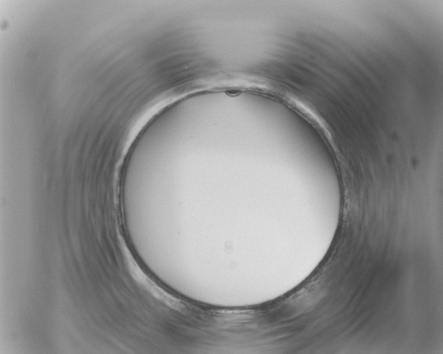 X0000054441483200508270000