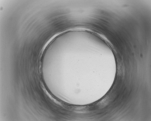 X0000054441484200508270000