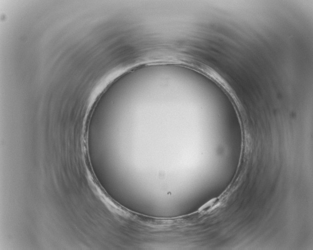 X0000054441485200508270000