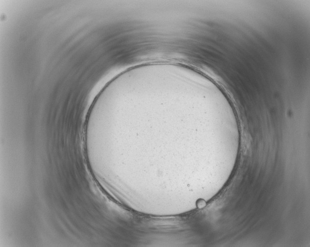 X0000054441486200508270000