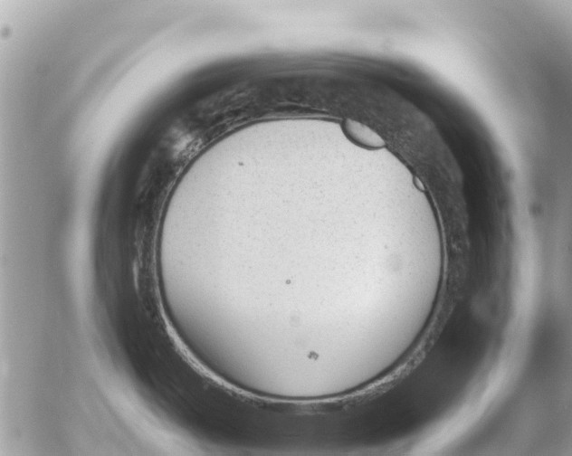 X0000054441487200508270000