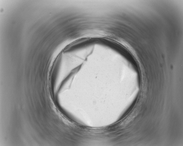 X0000054441488200508270000