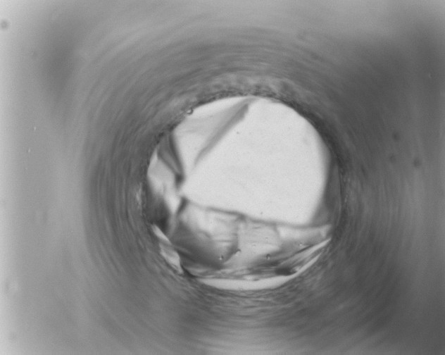 X0000054441489200508262359