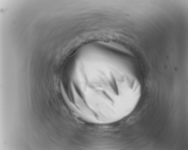 X0000054441490200508262359