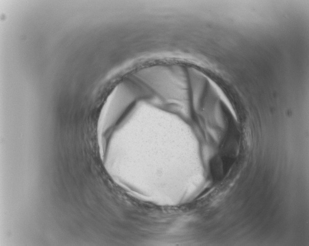 X0000054441494200508262359