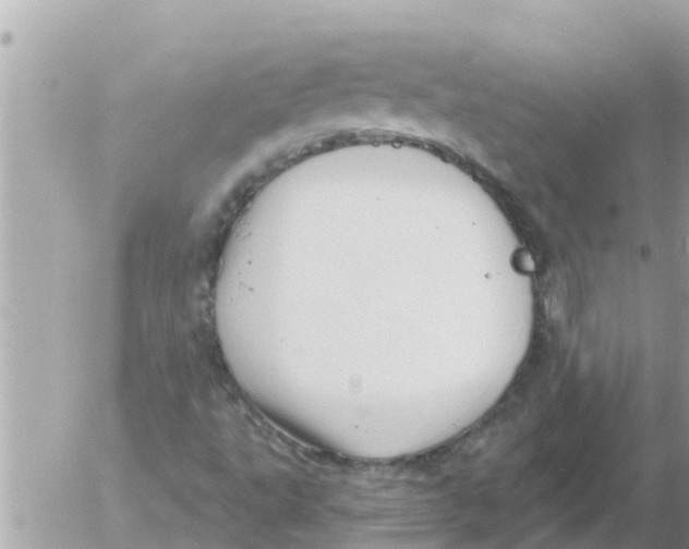 X0000054441495200508262359