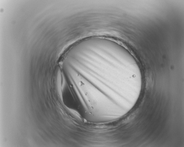 X0000054441497200508262359