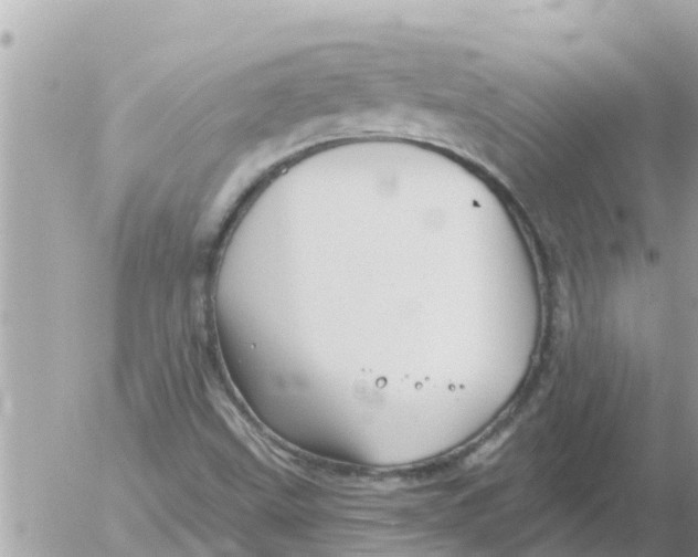 X0000054441499200508262359