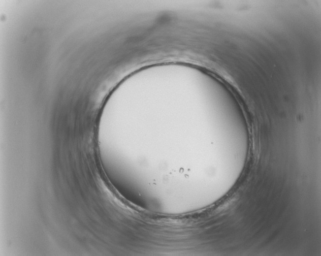 X0000054441500200508262359