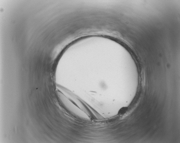 X0000054441501200508262359