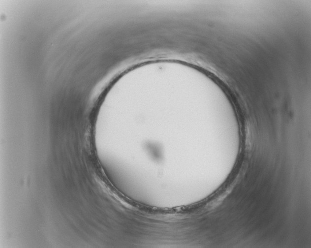 X0000054441502200508262359