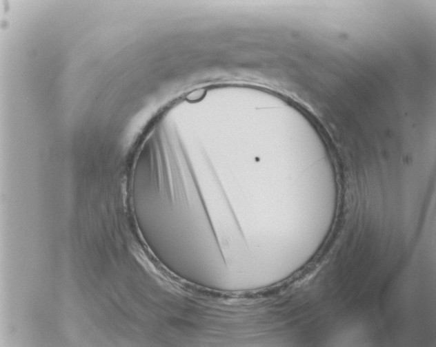 X0000054441503200508262359