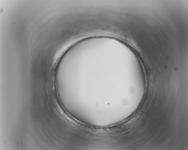 X0000054441504200508262359