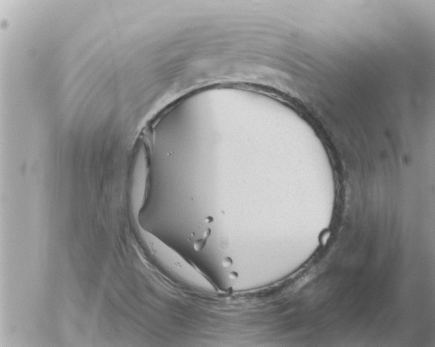 X0000054441505200508262359