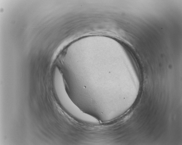 X0000054441506200508262359