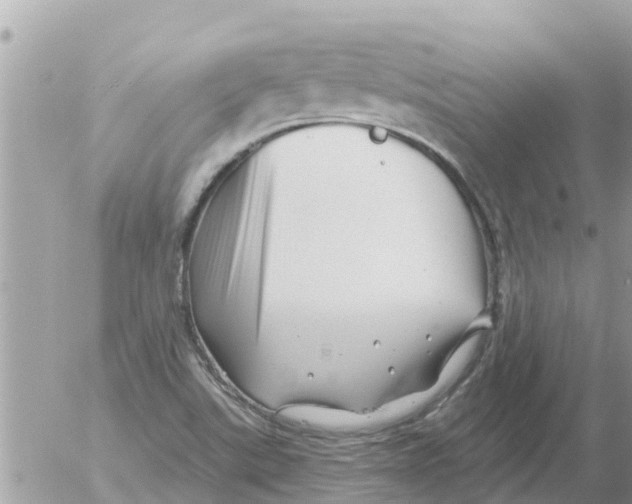 X0000054441507200508262359