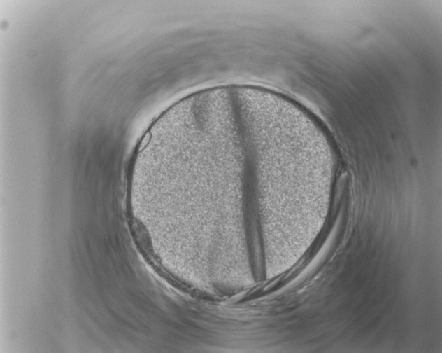 X0000054441508200508262359