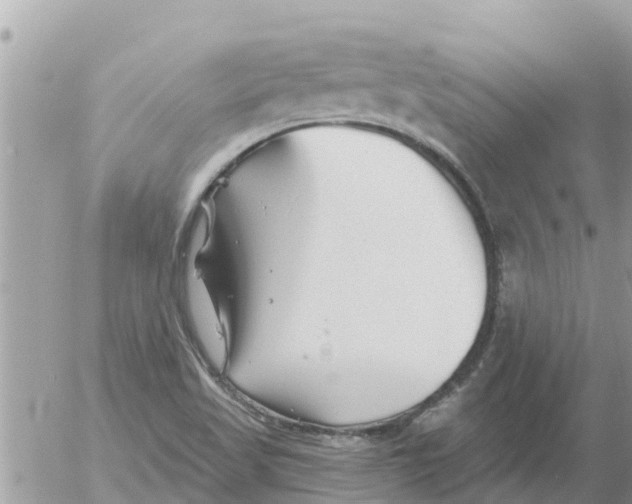 X0000054441509200508262359