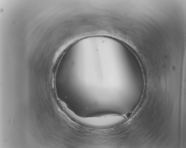 X0000054441510200508262359