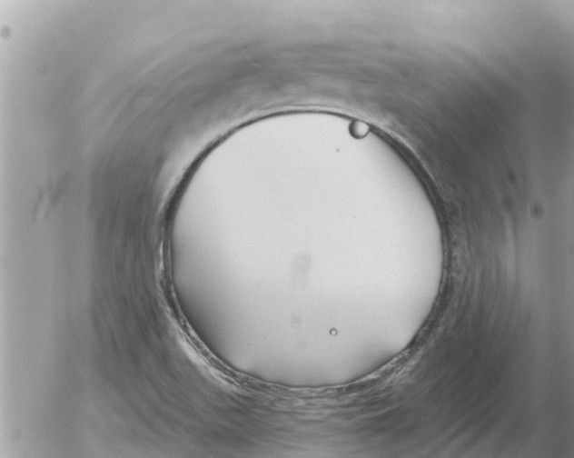 X0000054441511200508262359