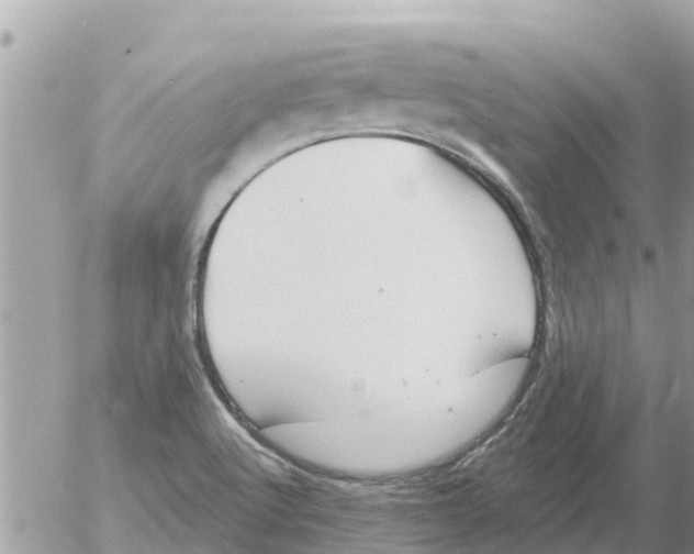 X0000054441512200508262359