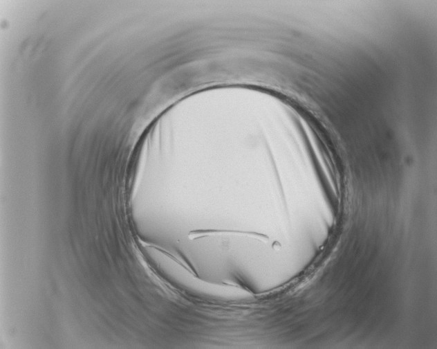 X0000054441513200508262359