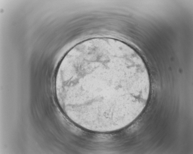 X0000054441514200508262359